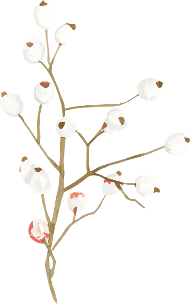Aesthetic Leave